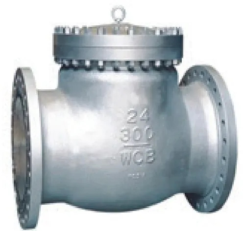 Swing Check Valve